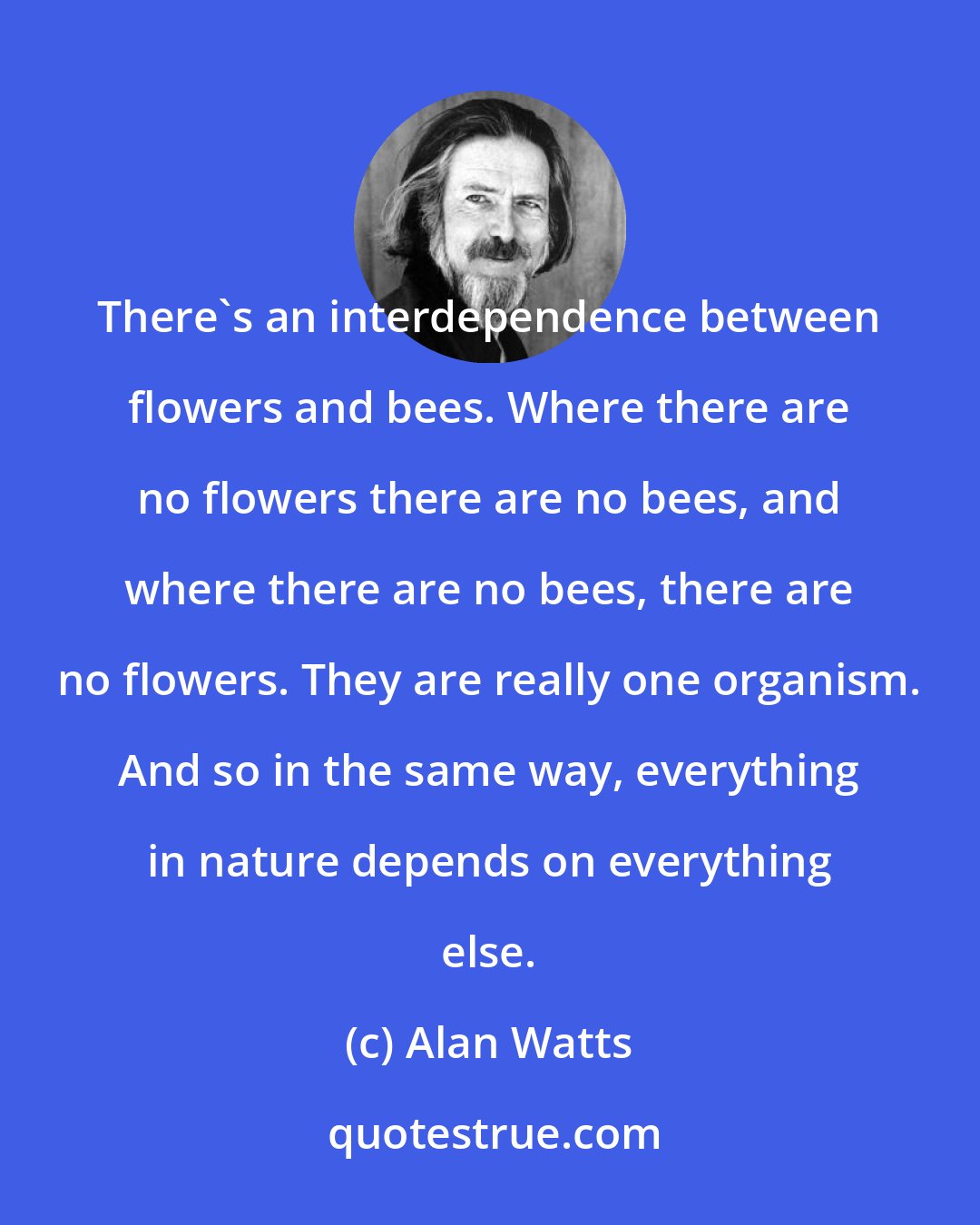 Alan Watts: There's an interdependence between flowers and bees. Where there are no flowers there are no bees, and where there are no bees, there are no flowers. They are really one organism. And so in the same way, everything in nature depends on everything else.