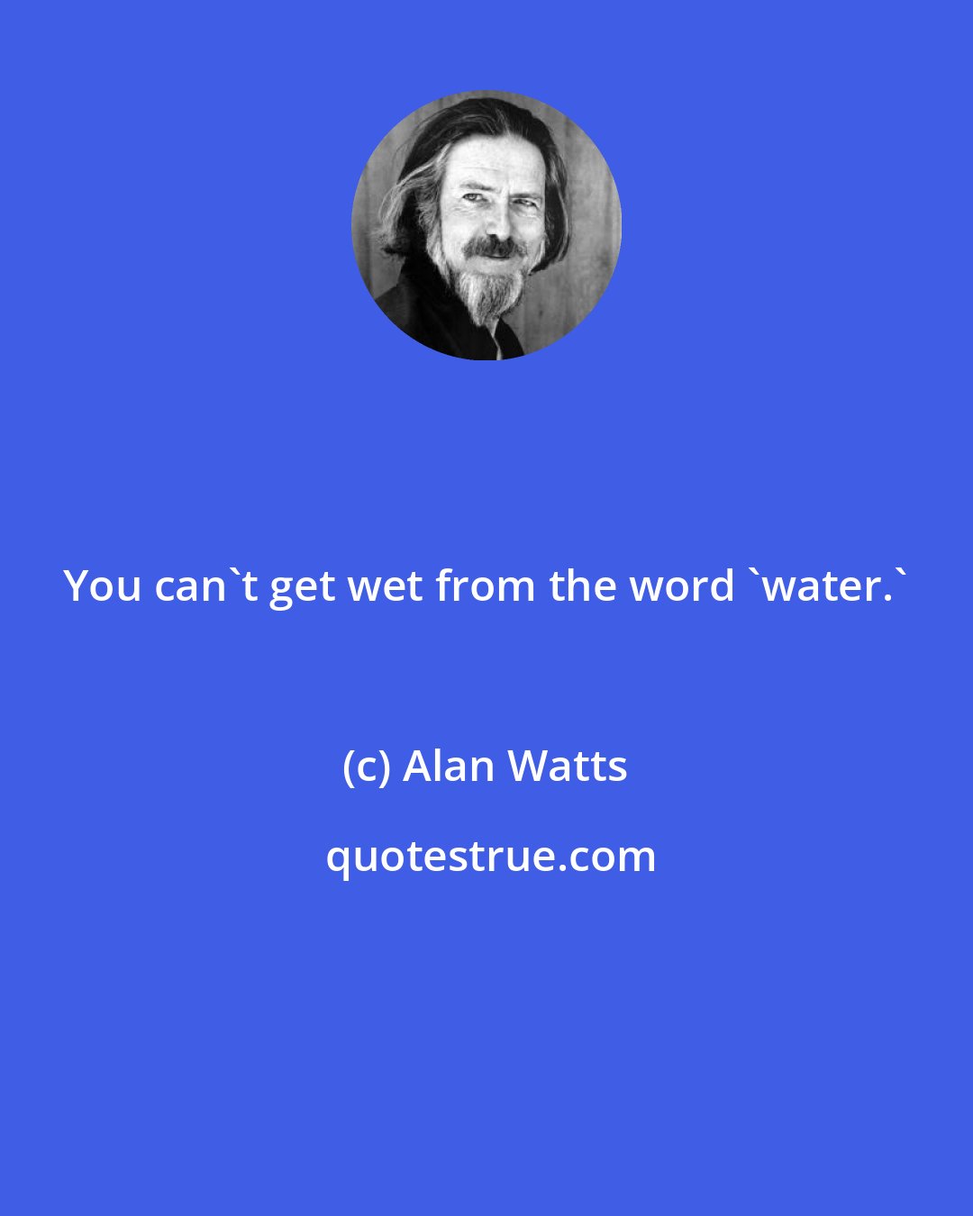 Alan Watts: You can't get wet from the word 'water.'