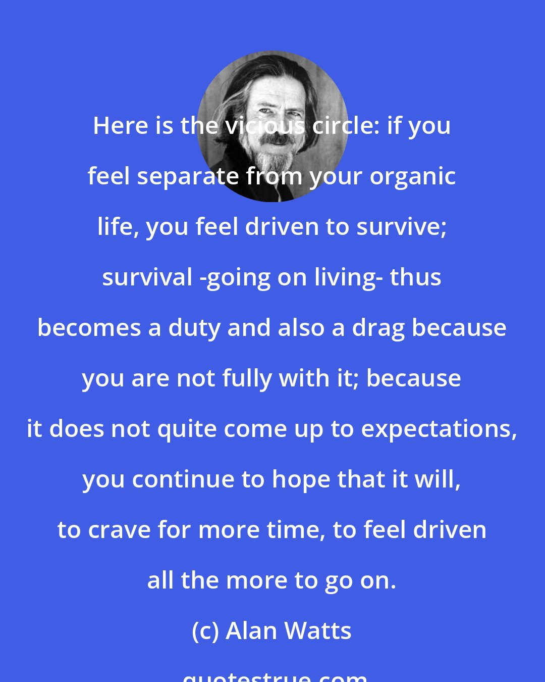 Alan Watts: Here is the vicious circle: if you feel separate from your organic life, you feel driven to survive; survival -going on living- thus becomes a duty and also a drag because you are not fully with it; because it does not quite come up to expectations, you continue to hope that it will, to crave for more time, to feel driven all the more to go on.