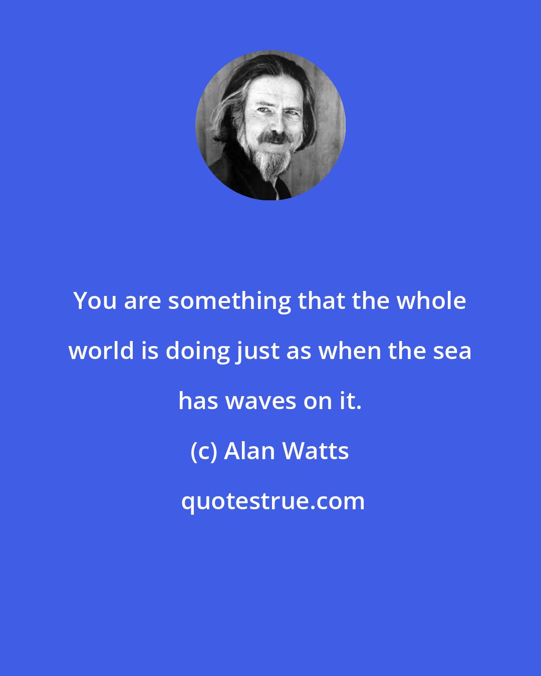 Alan Watts: You are something that the whole world is doing just as when the sea has waves on it.