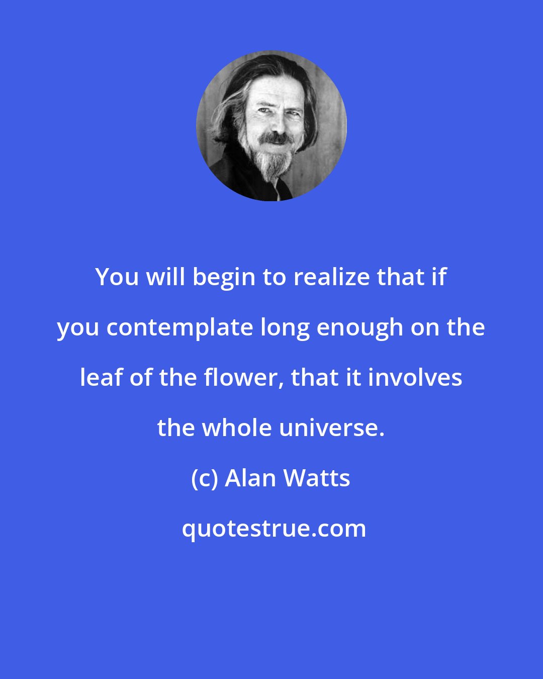 Alan Watts: You will begin to realize that if you contemplate long enough on the leaf of the flower, that it involves the whole universe.