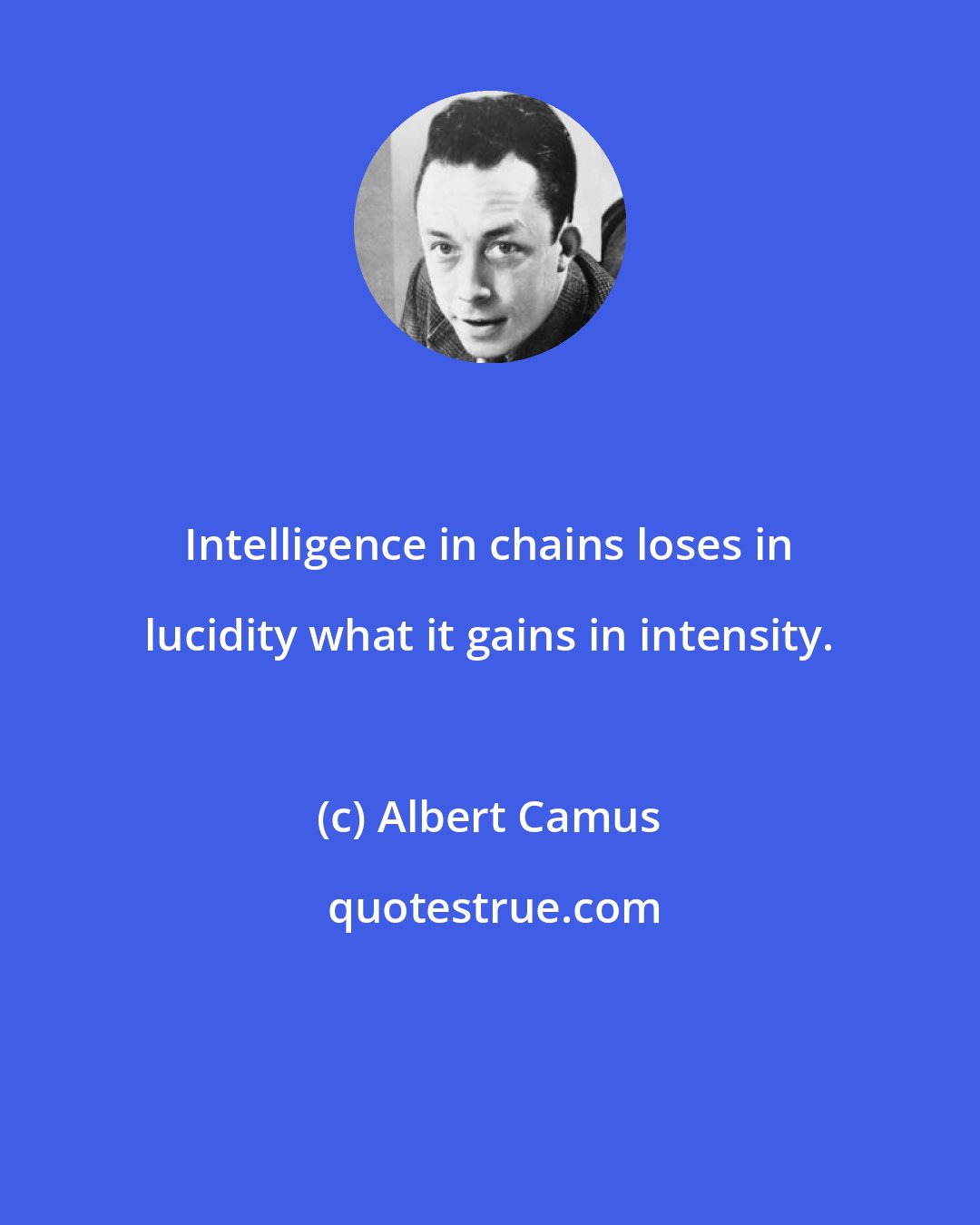 Albert Camus: Intelligence in chains loses in lucidity what it gains in intensity.