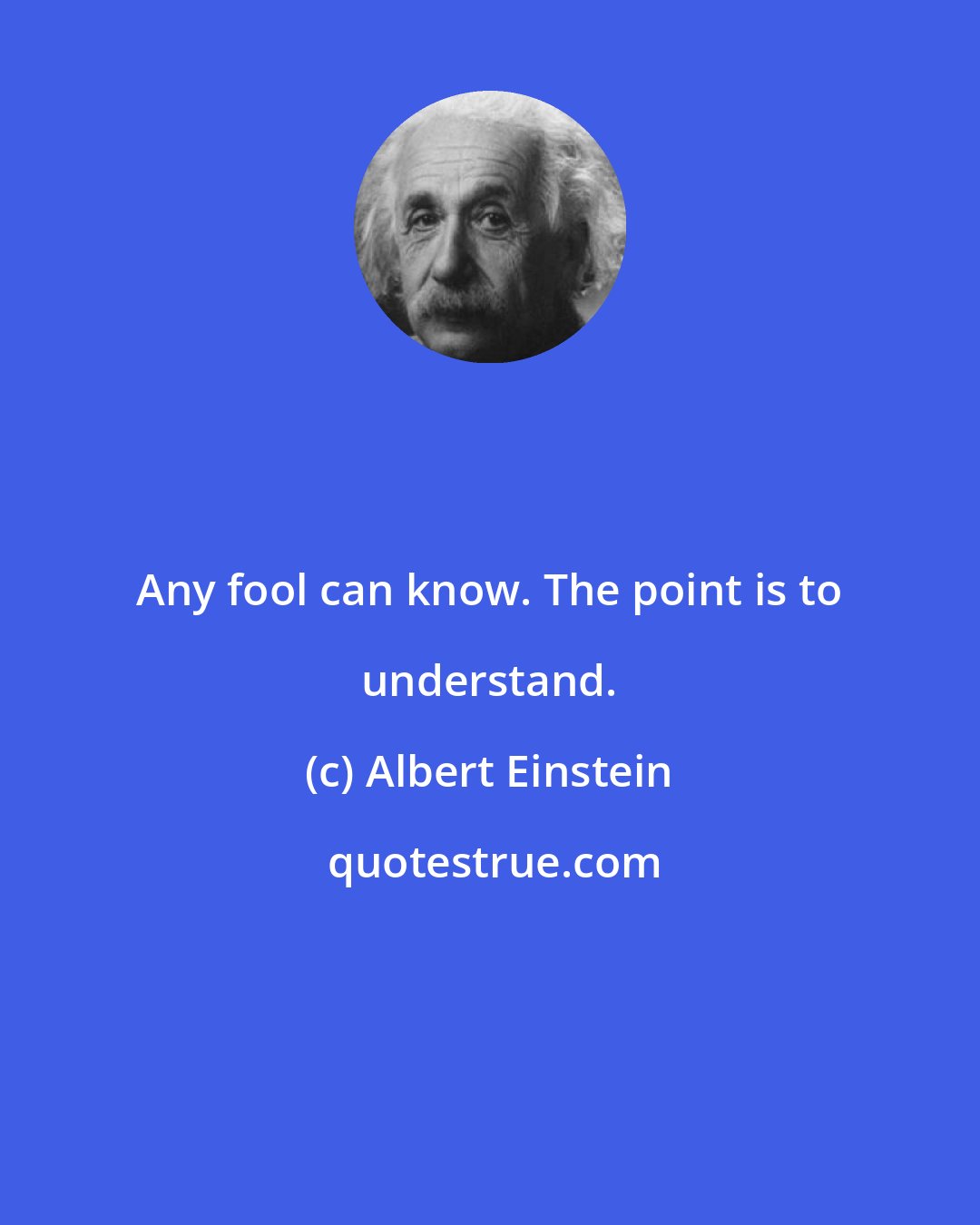 Albert Einstein: Any fool can know. The point is to understand.