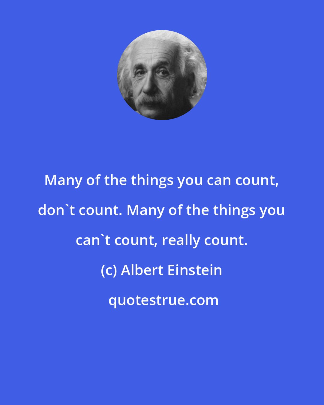 Albert Einstein: Many of the things you can count, don't count. Many of the things you can't count, really count.
