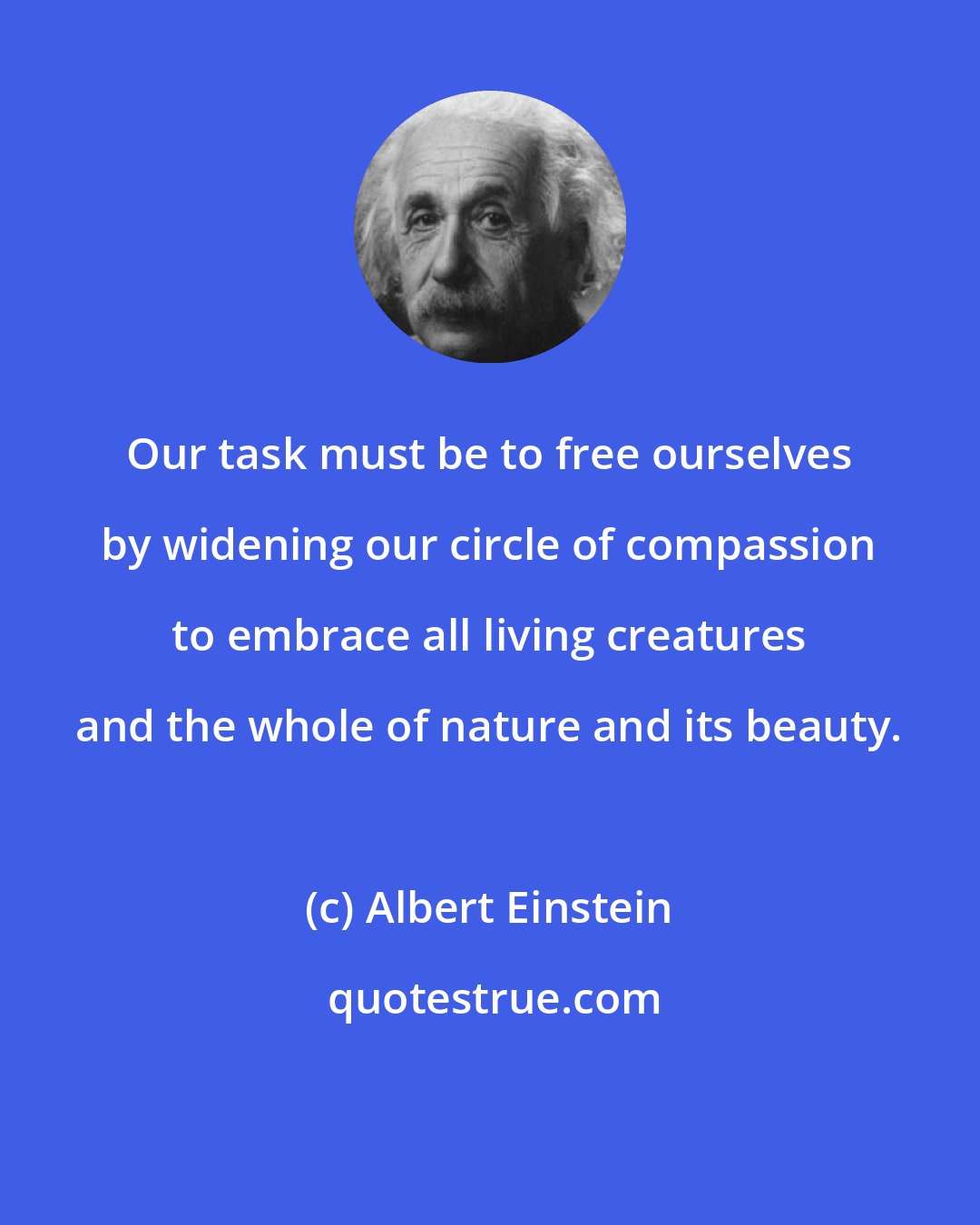 Albert Einstein: Our task must be to free ourselves by widening our circle of compassion to embrace all living creatures and the whole of nature and its beauty.