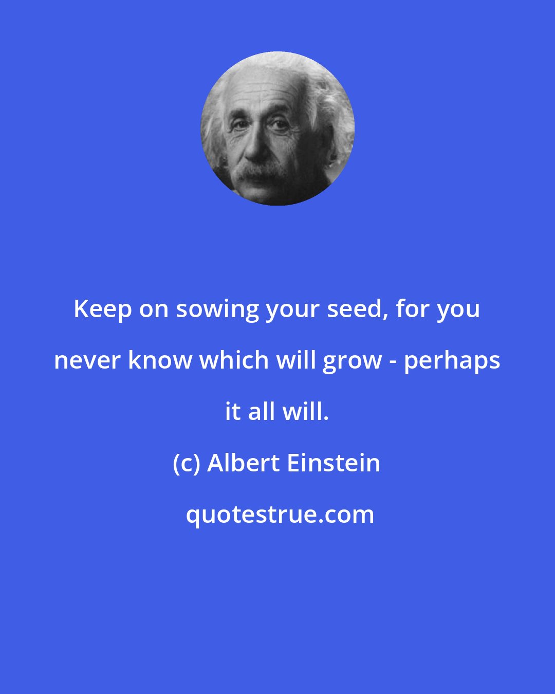 Albert Einstein: Keep on sowing your seed, for you never know which will grow - perhaps it all will.