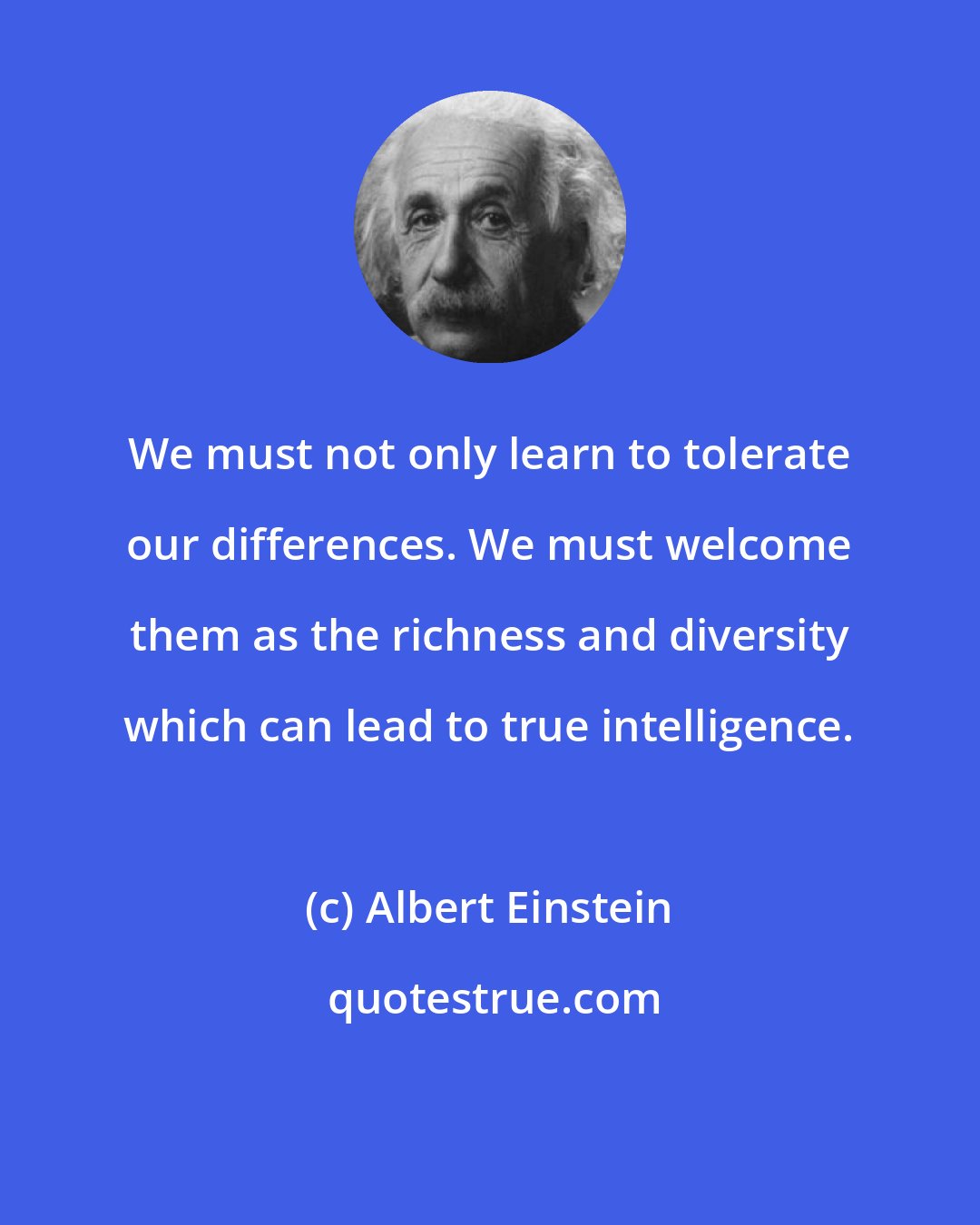 Albert Einstein: We must not only learn to tolerate our differences. We must welcome them as the richness and diversity which can lead to true intelligence.