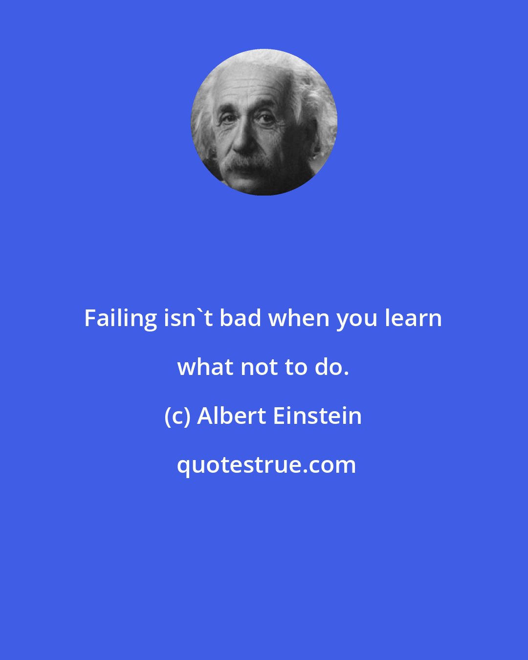 Albert Einstein: Failing isn't bad when you learn what not to do.