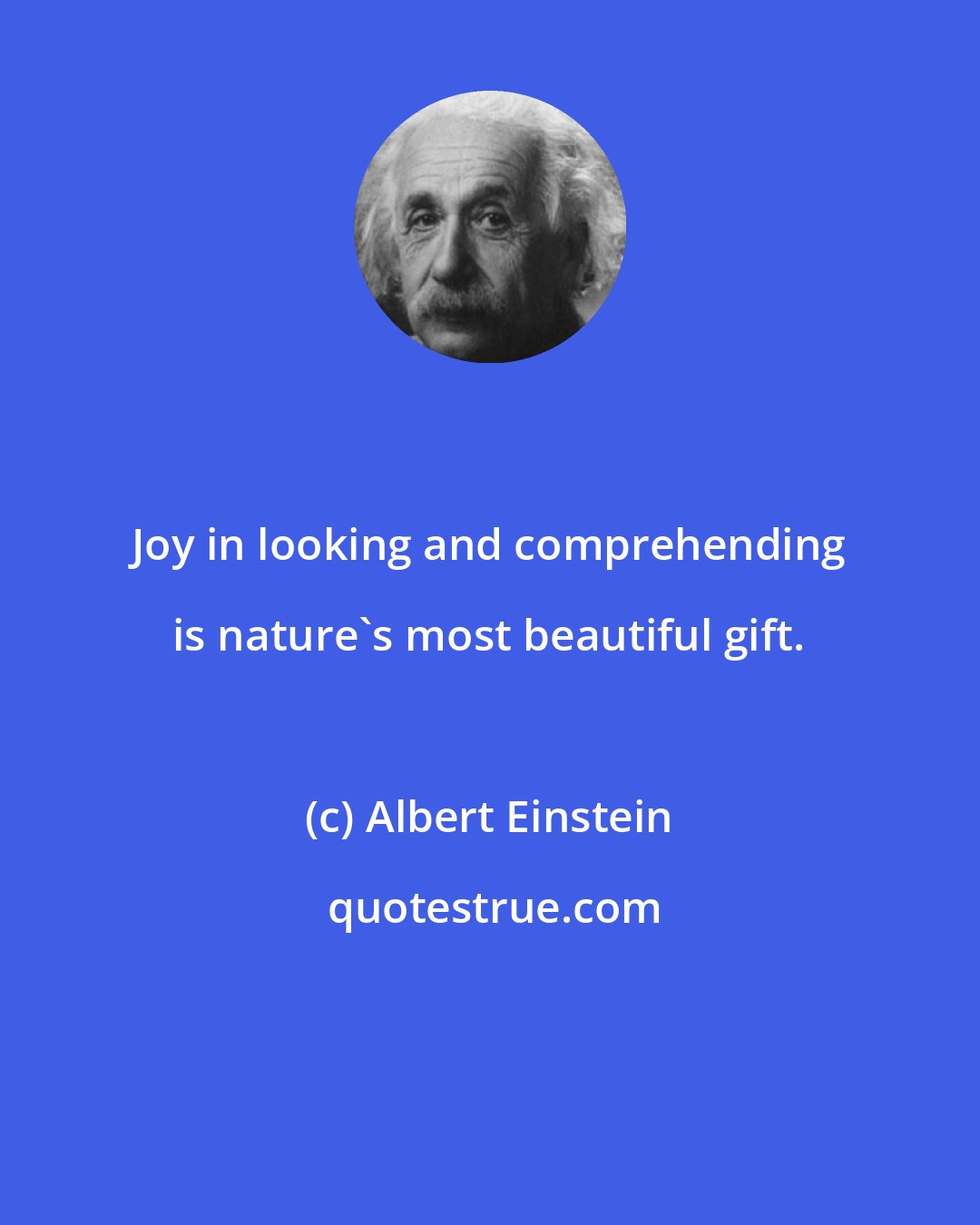 Albert Einstein: Joy in looking and comprehending is nature's most beautiful gift.