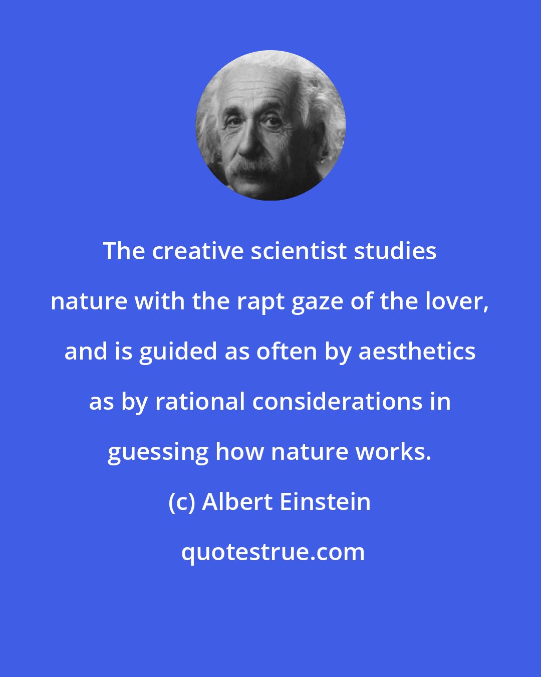 Albert Einstein: The creative scientist studies nature with the rapt gaze of the lover, and is guided as often by aesthetics as by rational considerations in guessing how nature works.