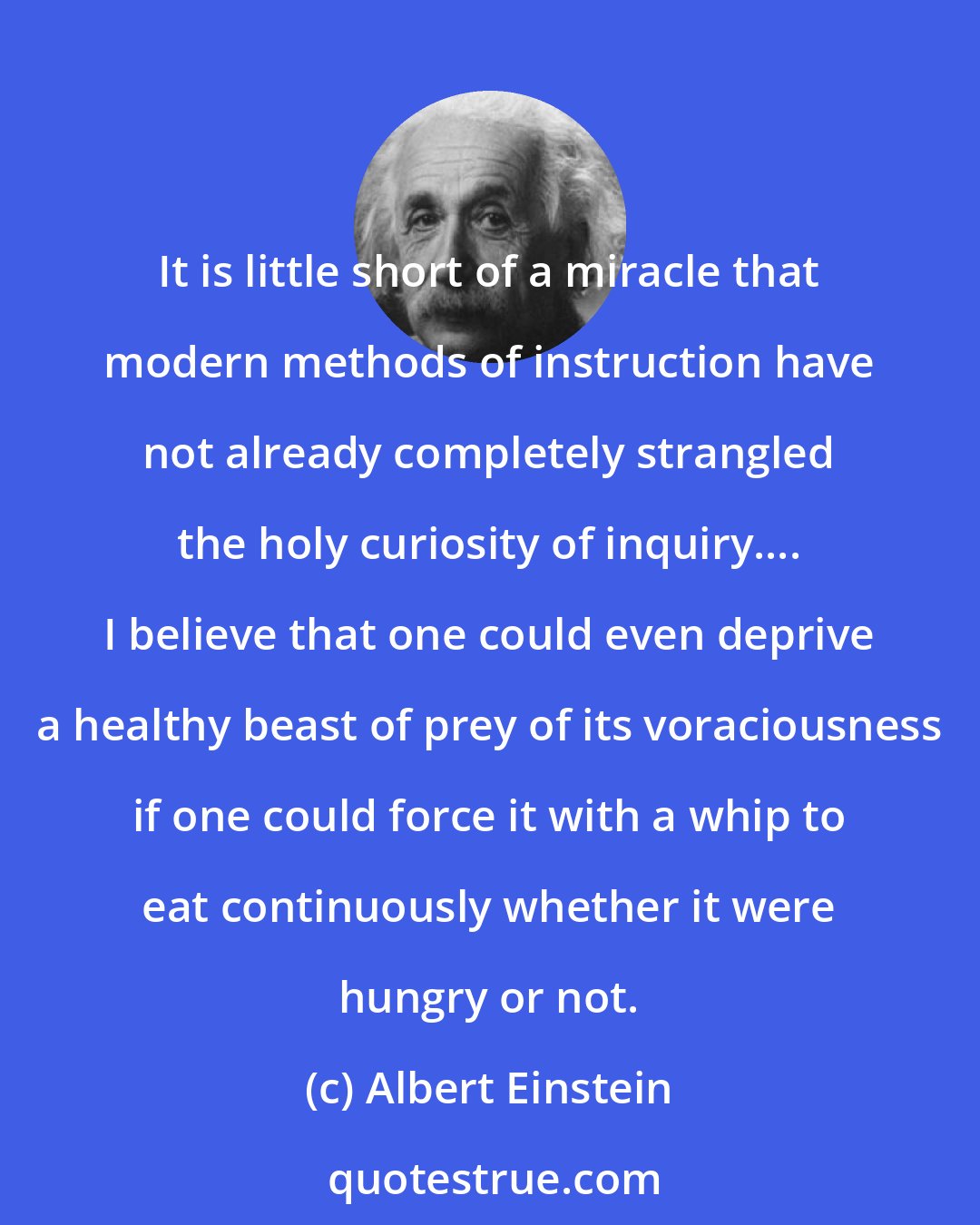 Albert Einstein: It is little short of a miracle that modern methods of instruction have not already completely strangled the holy curiosity of inquiry.... I believe that one could even deprive a healthy beast of prey of its voraciousness if one could force it with a whip to eat continuously whether it were hungry or not.