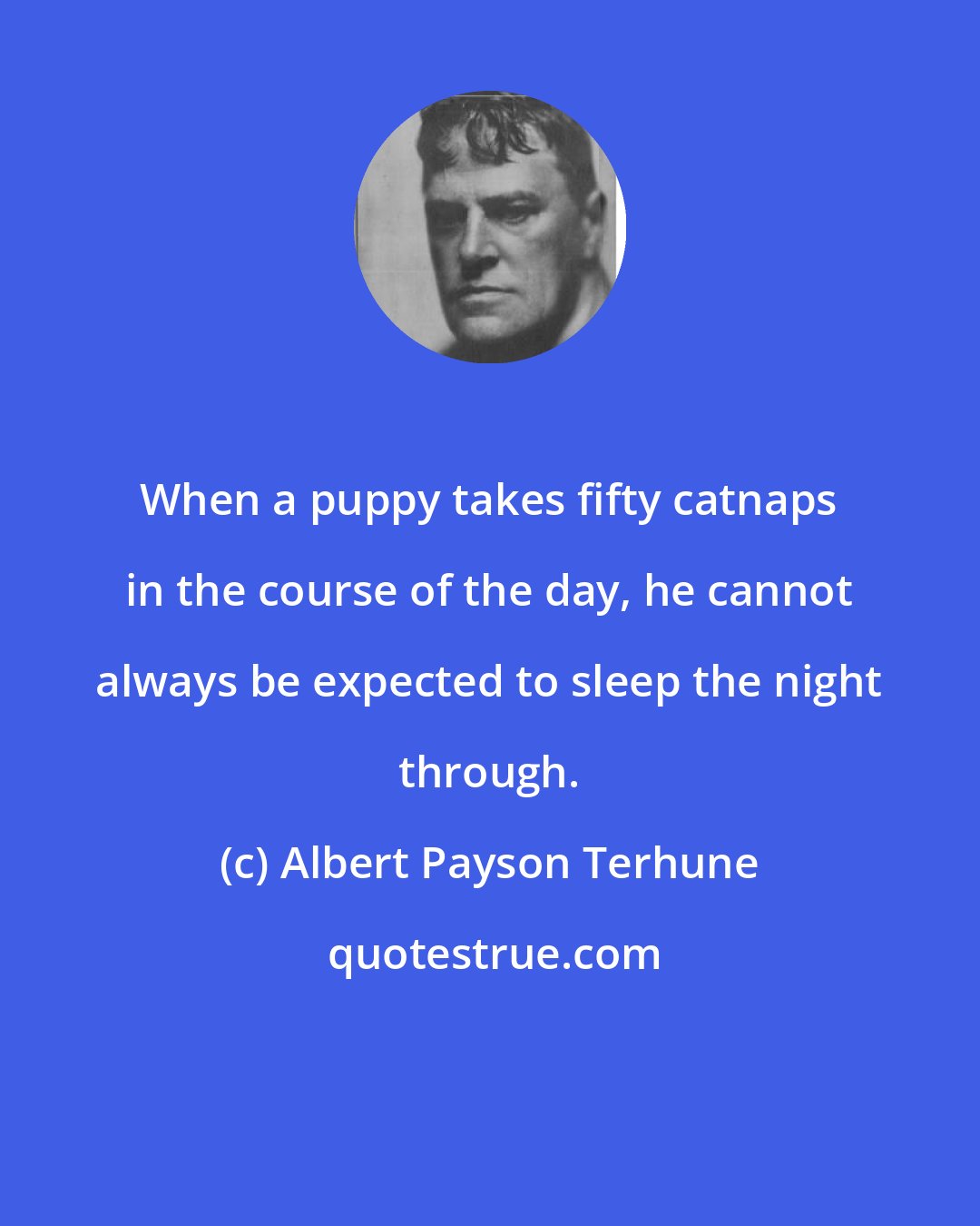 Albert Payson Terhune: When a puppy takes fifty catnaps in the course of the day, he cannot always be expected to sleep the night through.