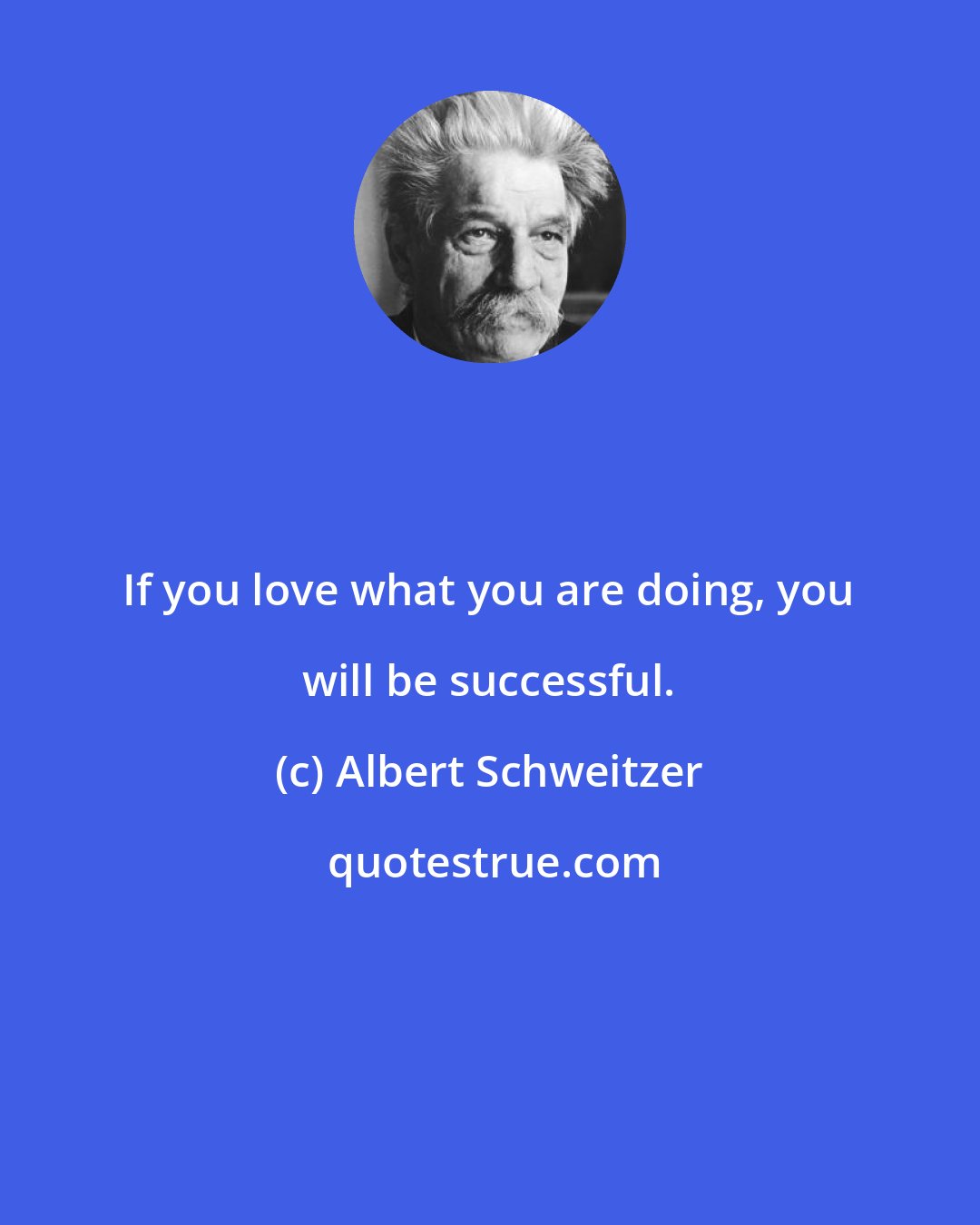 Albert Schweitzer: If you love what you are doing, you will be successful.