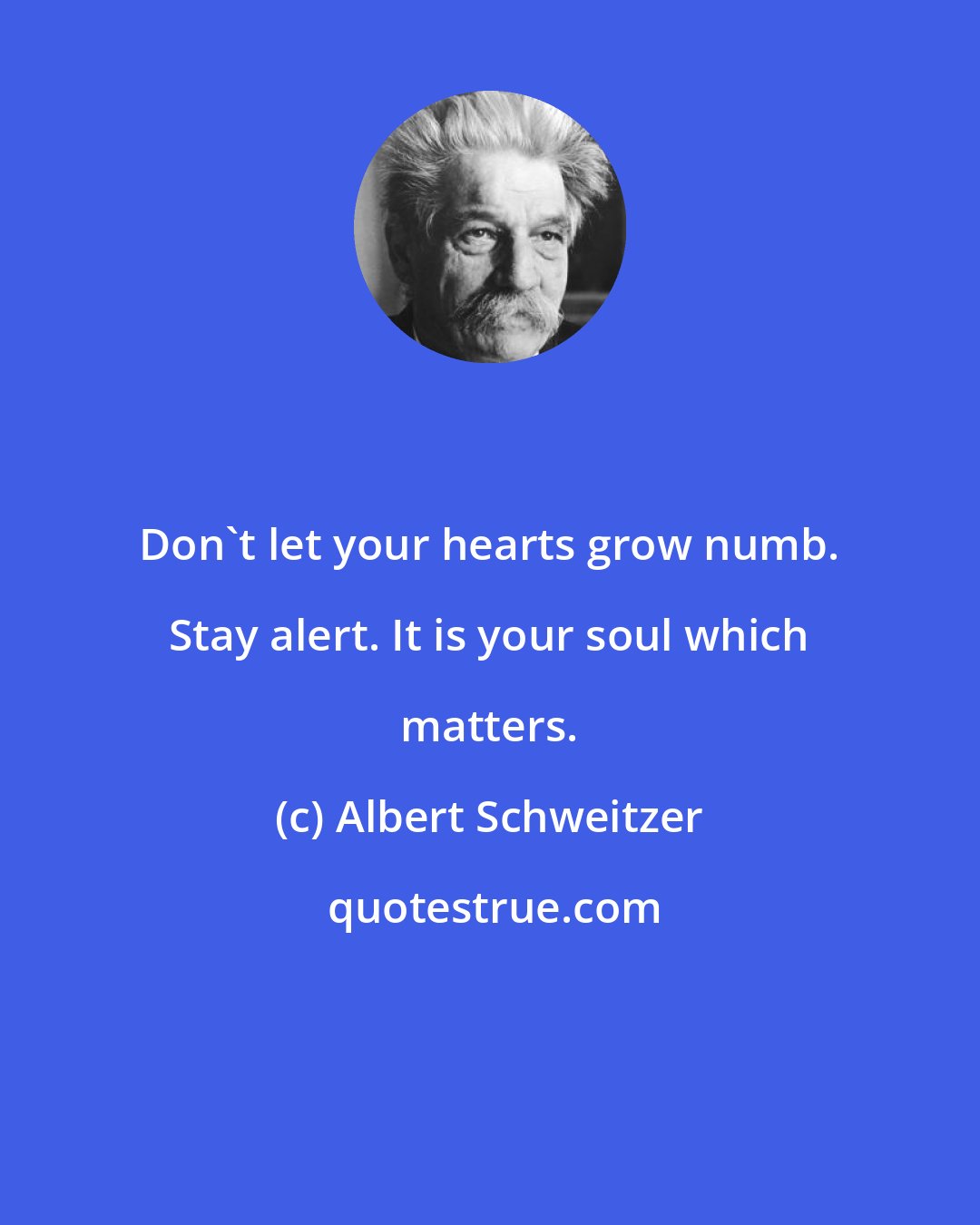 Albert Schweitzer: Don't let your hearts grow numb. Stay alert. It is your soul which matters.