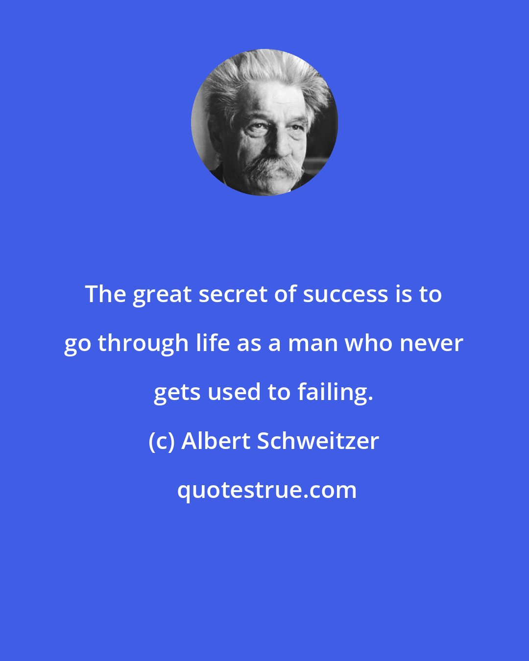 Albert Schweitzer: The great secret of success is to go through life as a man who never gets used to failing.