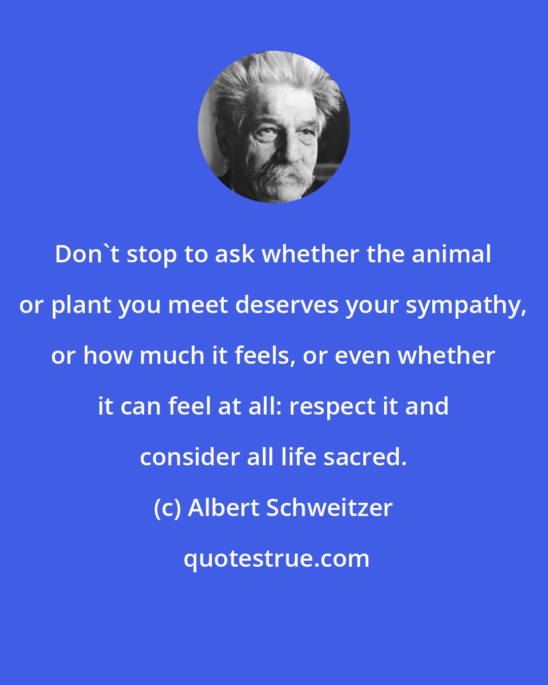 Albert Schweitzer: Don't stop to ask whether the animal or plant you meet deserves your sympathy, or how much it feels, or even whether it can feel at all: respect it and consider all life sacred.