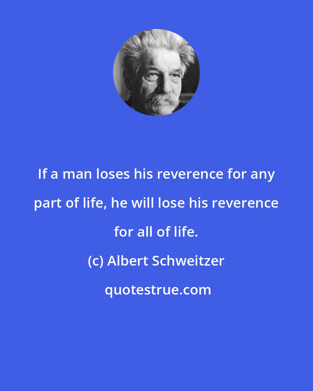 Albert Schweitzer: If a man loses his reverence for any part of life, he will lose his reverence for all of life.