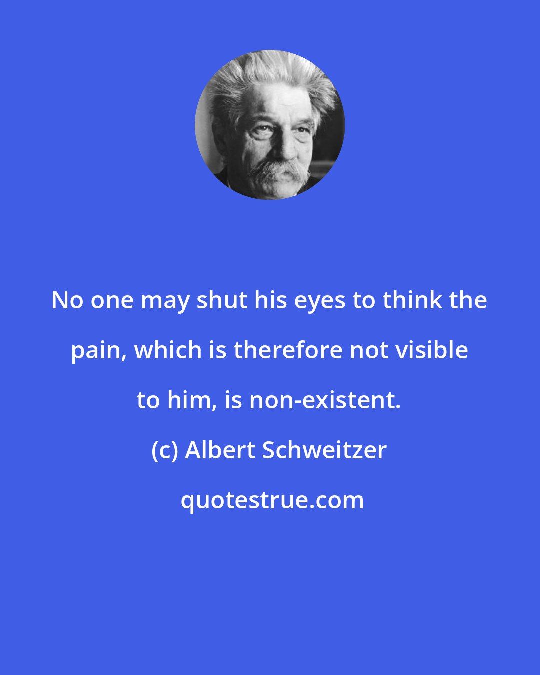 Albert Schweitzer: No one may shut his eyes to think the pain, which is therefore not visible to him, is non-existent.