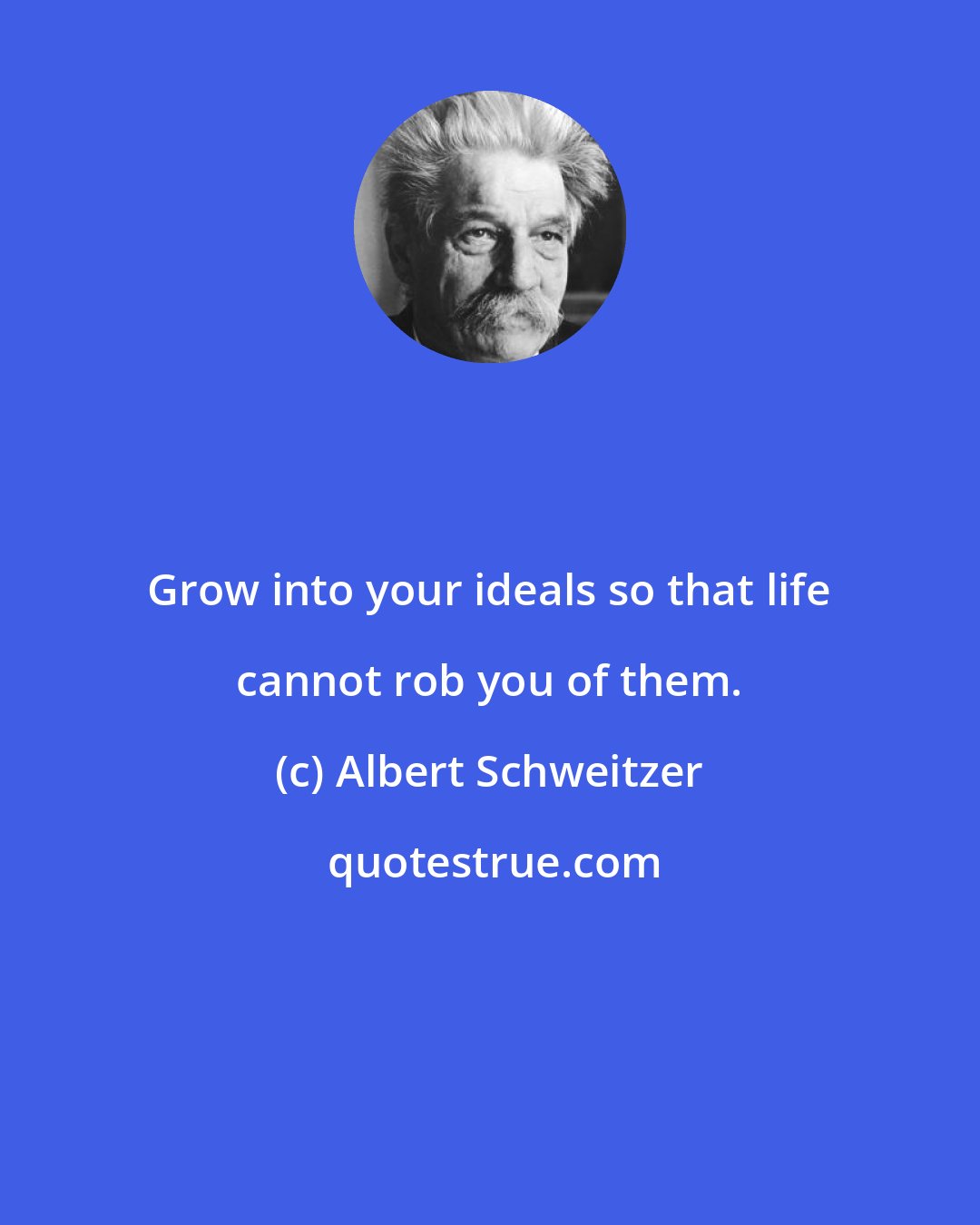 Albert Schweitzer: Grow into your ideals so that life cannot rob you of them.