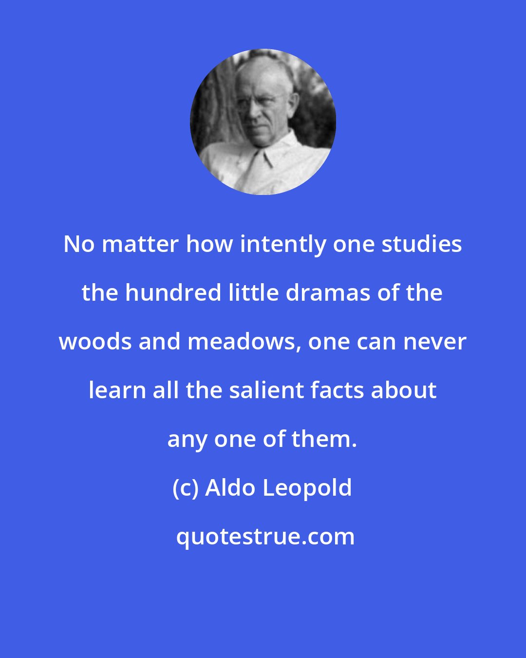 Aldo Leopold: No matter how intently one studies the hundred little dramas of the woods and meadows, one can never learn all the salient facts about any one of them.