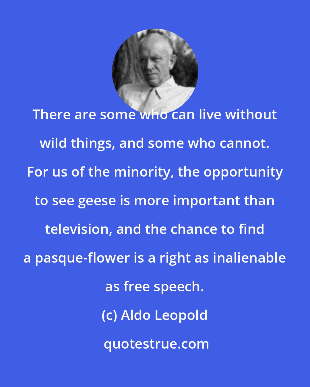 Aldo Leopold: There are some who can live without wild things, and some who cannot. For us of the minority, the opportunity to see geese is more important than television, and the chance to find a pasque-flower is a right as inalienable as free speech.