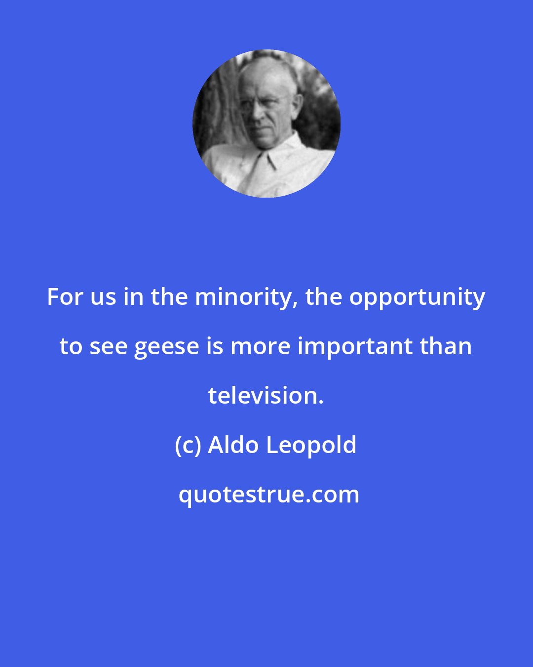 Aldo Leopold: For us in the minority, the opportunity to see geese is more important than television.