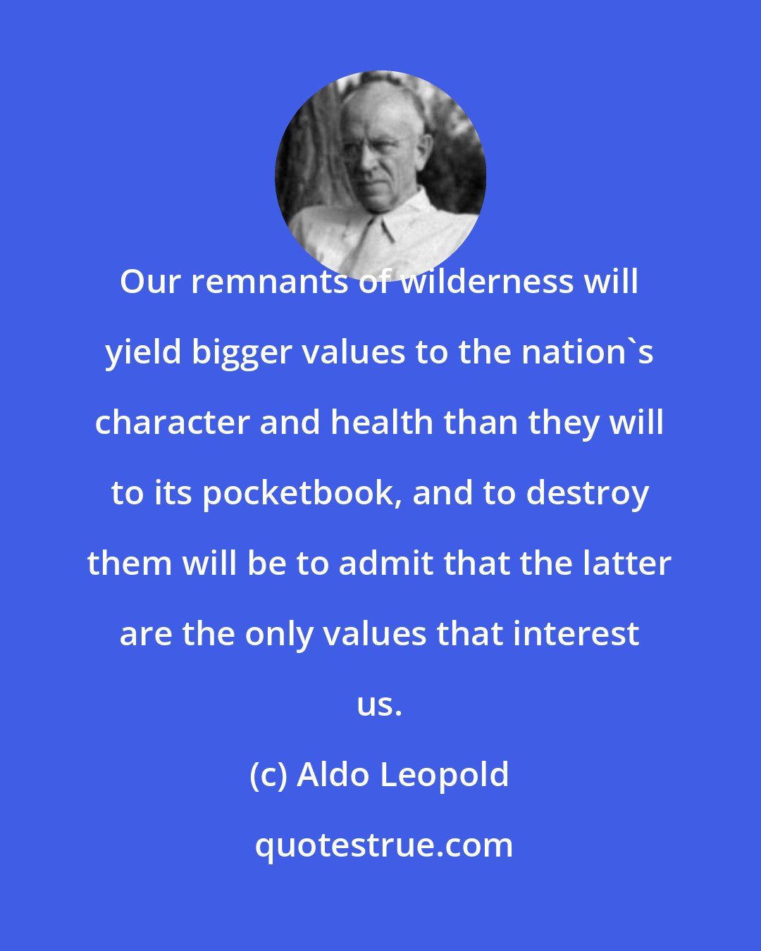 Aldo Leopold: Our remnants of wilderness will yield bigger values to the nation's character and health than they will to its pocketbook, and to destroy them will be to admit that the latter are the only values that interest us.