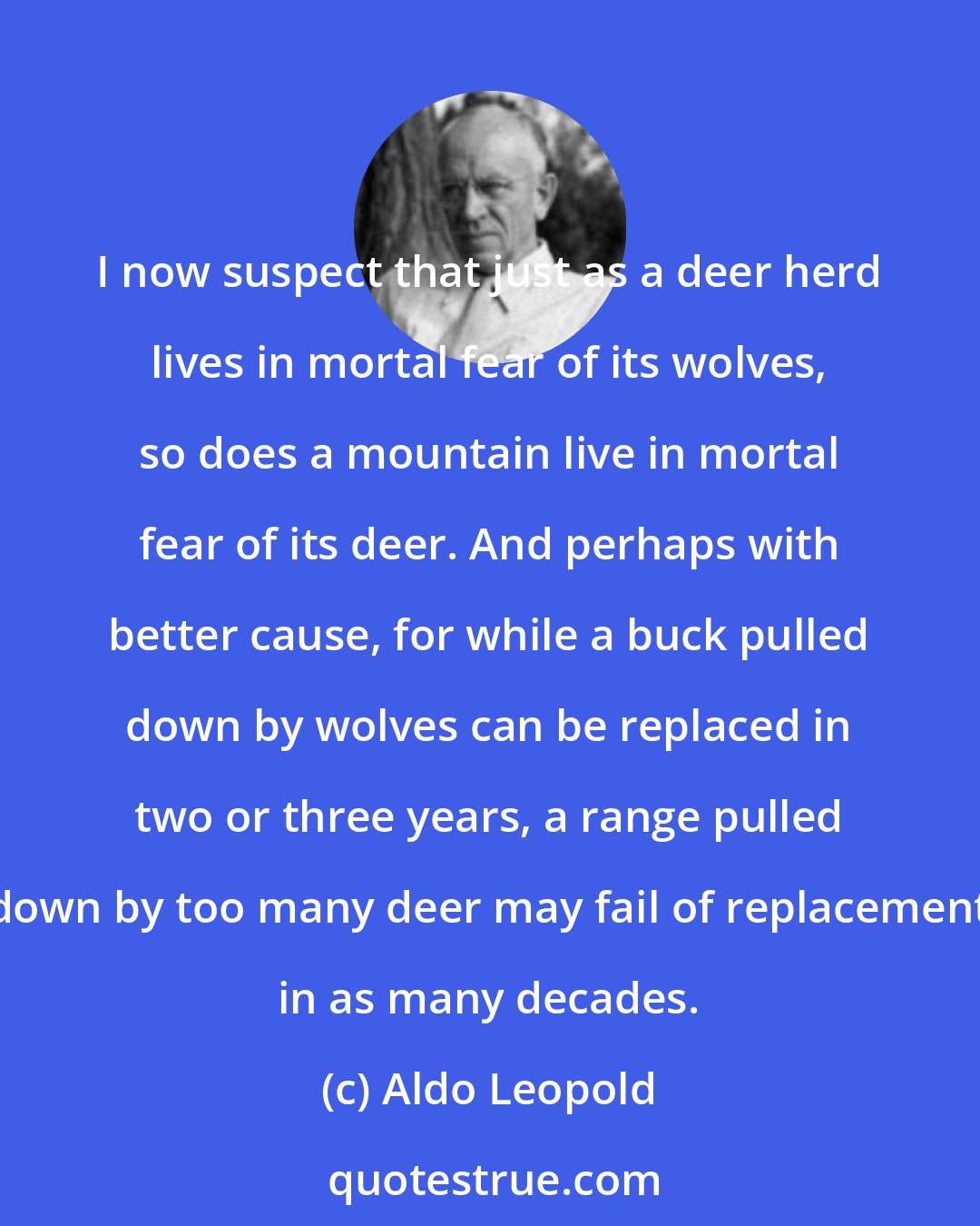 Aldo Leopold: I now suspect that just as a deer herd lives in mortal fear of its wolves, so does a mountain live in mortal fear of its deer. And perhaps with better cause, for while a buck pulled down by wolves can be replaced in two or three years, a range pulled down by too many deer may fail of replacement in as many decades.