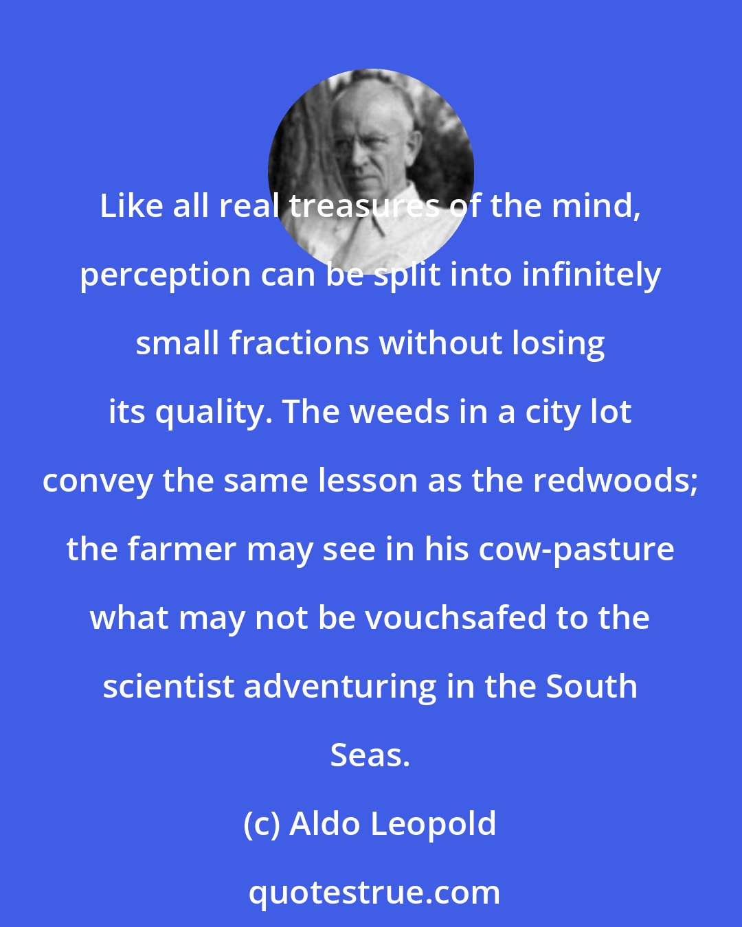 Aldo Leopold: Like all real treasures of the mind, perception can be split into infinitely small fractions without losing its quality. The weeds in a city lot convey the same lesson as the redwoods; the farmer may see in his cow-pasture what may not be vouchsafed to the scientist adventuring in the South Seas.