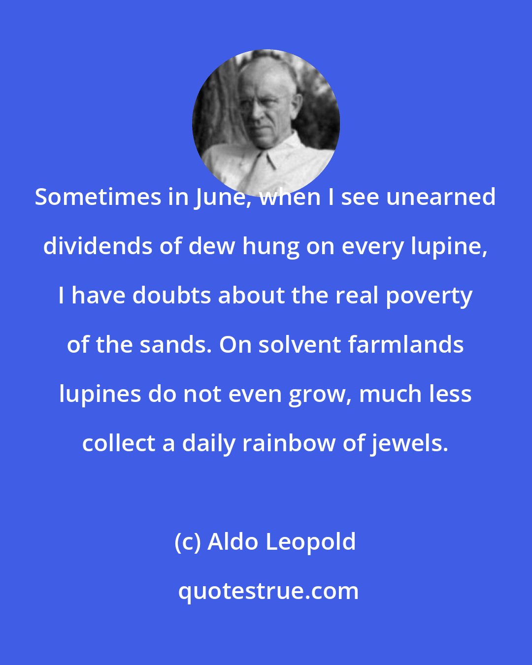 Aldo Leopold: Sometimes in June, when I see unearned dividends of dew hung on every lupine, I have doubts about the real poverty of the sands. On solvent farmlands lupines do not even grow, much less collect a daily rainbow of jewels.