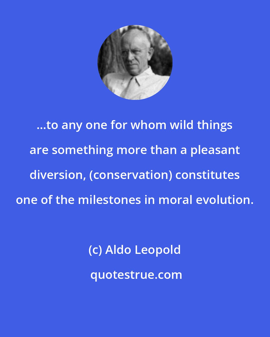 Aldo Leopold: ...to any one for whom wild things are something more than a pleasant diversion, (conservation) constitutes one of the milestones in moral evolution.