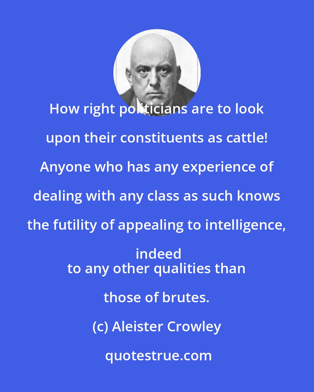 Aleister Crowley: How right politicians are to look upon their constituents as cattle! Anyone who has any experience of dealing with any class as such knows the futility of appealing to intelligence, indeed
 to any other qualities than those of brutes.