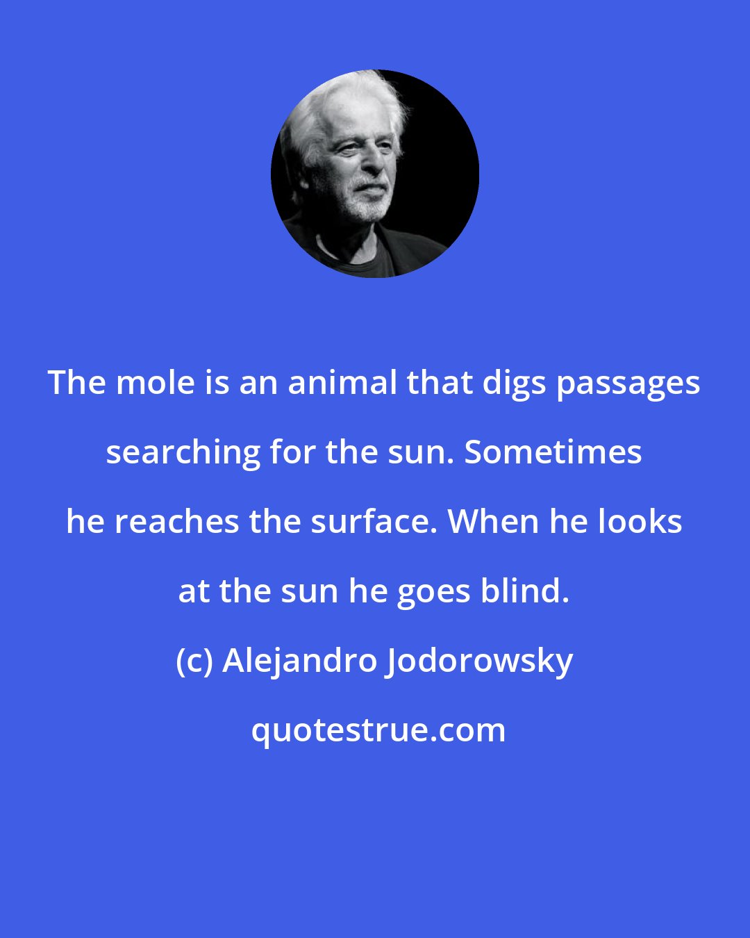 Alejandro Jodorowsky: The mole is an animal that digs passages searching for the sun. Sometimes he reaches the surface. When he looks at the sun he goes blind.