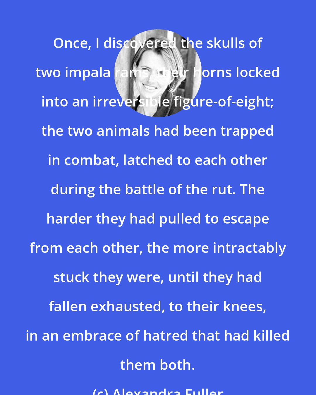 Alexandra Fuller: Once, I discovered the skulls of two impala rams, their horns locked into an irreversible figure-of-eight; the two animals had been trapped in combat, latched to each other during the battle of the rut. The harder they had pulled to escape from each other, the more intractably stuck they were, until they had fallen exhausted, to their knees, in an embrace of hatred that had killed them both.
