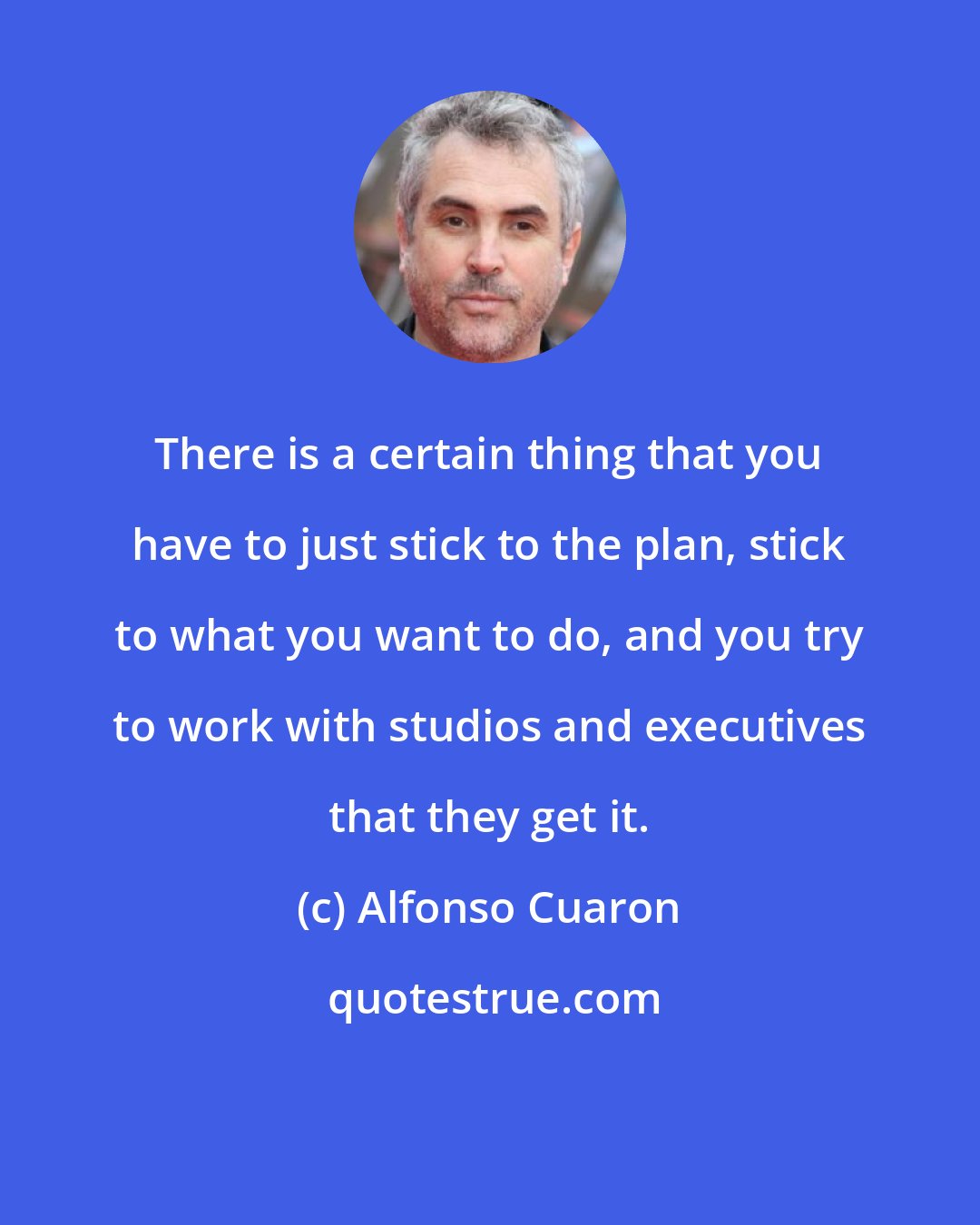 Alfonso Cuaron: There is a certain thing that you have to just stick to the plan, stick to what you want to do, and you try to work with studios and executives that they get it.