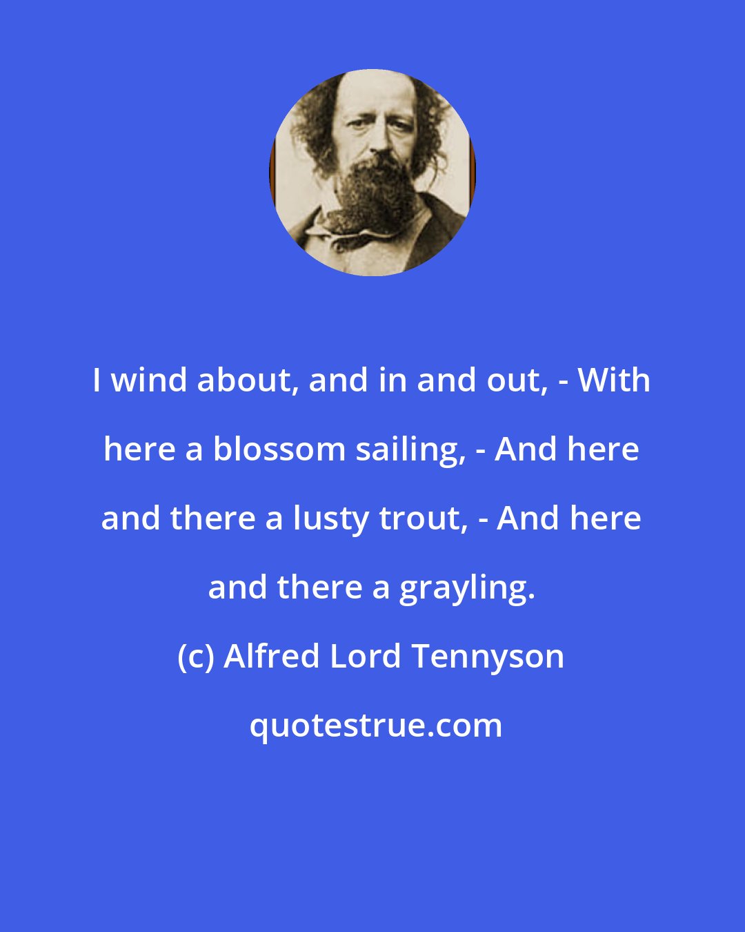 Alfred Lord Tennyson: I wind about, and in and out, - With here a blossom sailing, - And here and there a lusty trout, - And here and there a grayling.