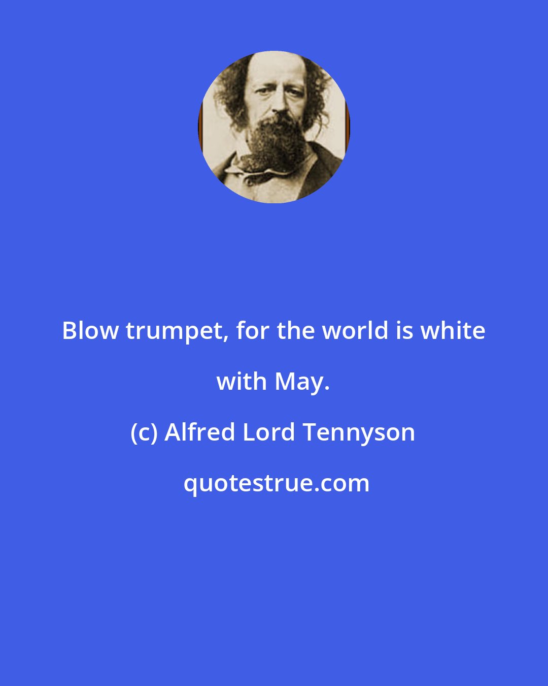 Alfred Lord Tennyson: Blow trumpet, for the world is white with May.