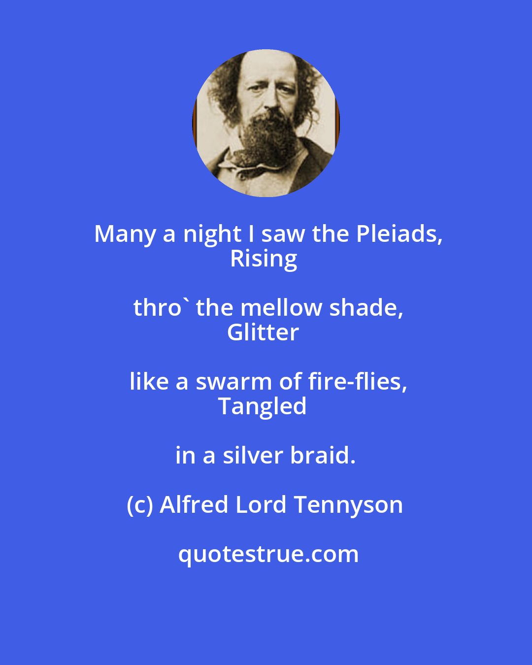 Alfred Lord Tennyson: Many a night I saw the Pleiads,
Rising thro' the mellow shade,
Glitter like a swarm of fire-flies,
Tangled in a silver braid.