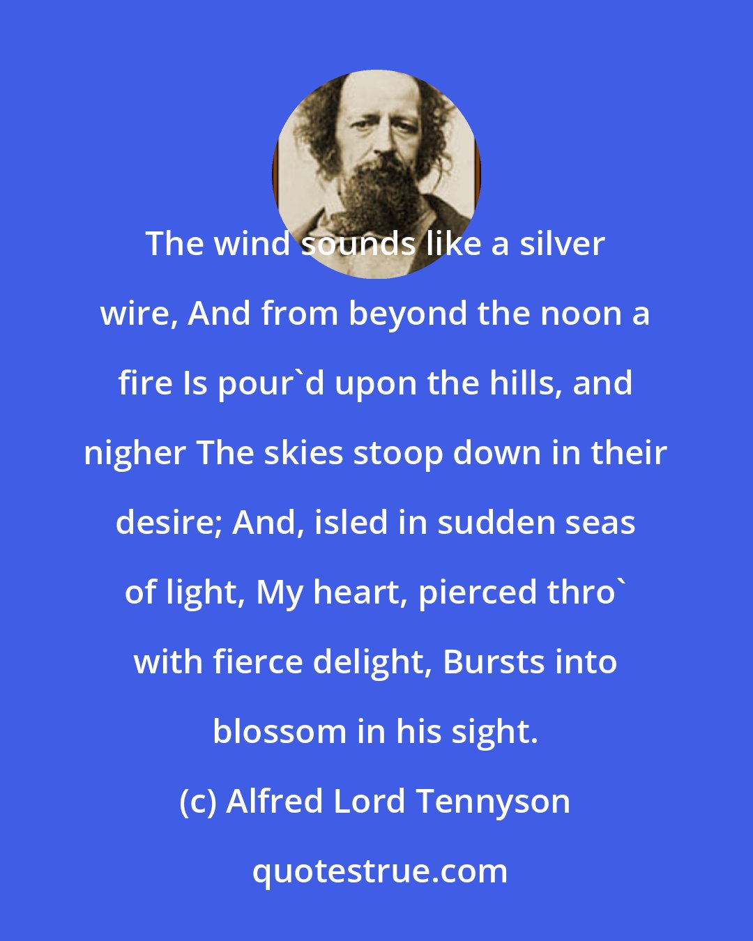 Alfred Lord Tennyson: ﻿The wind sounds like a silver wire, And from beyond the noon a fire Is pour'd upon the hills, and nigher The skies stoop down in their desire; And, isled in sudden seas of light, My heart, pierced thro' with fierce delight, Bursts into blossom in his sight.