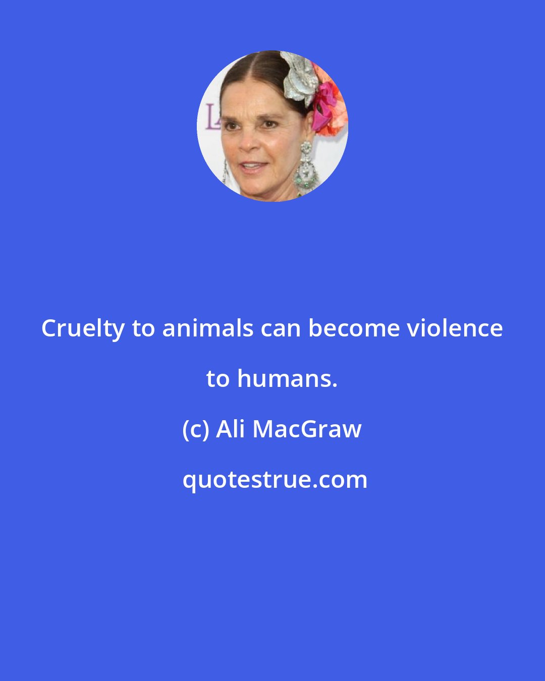 Ali MacGraw: Cruelty to animals can become violence to humans.