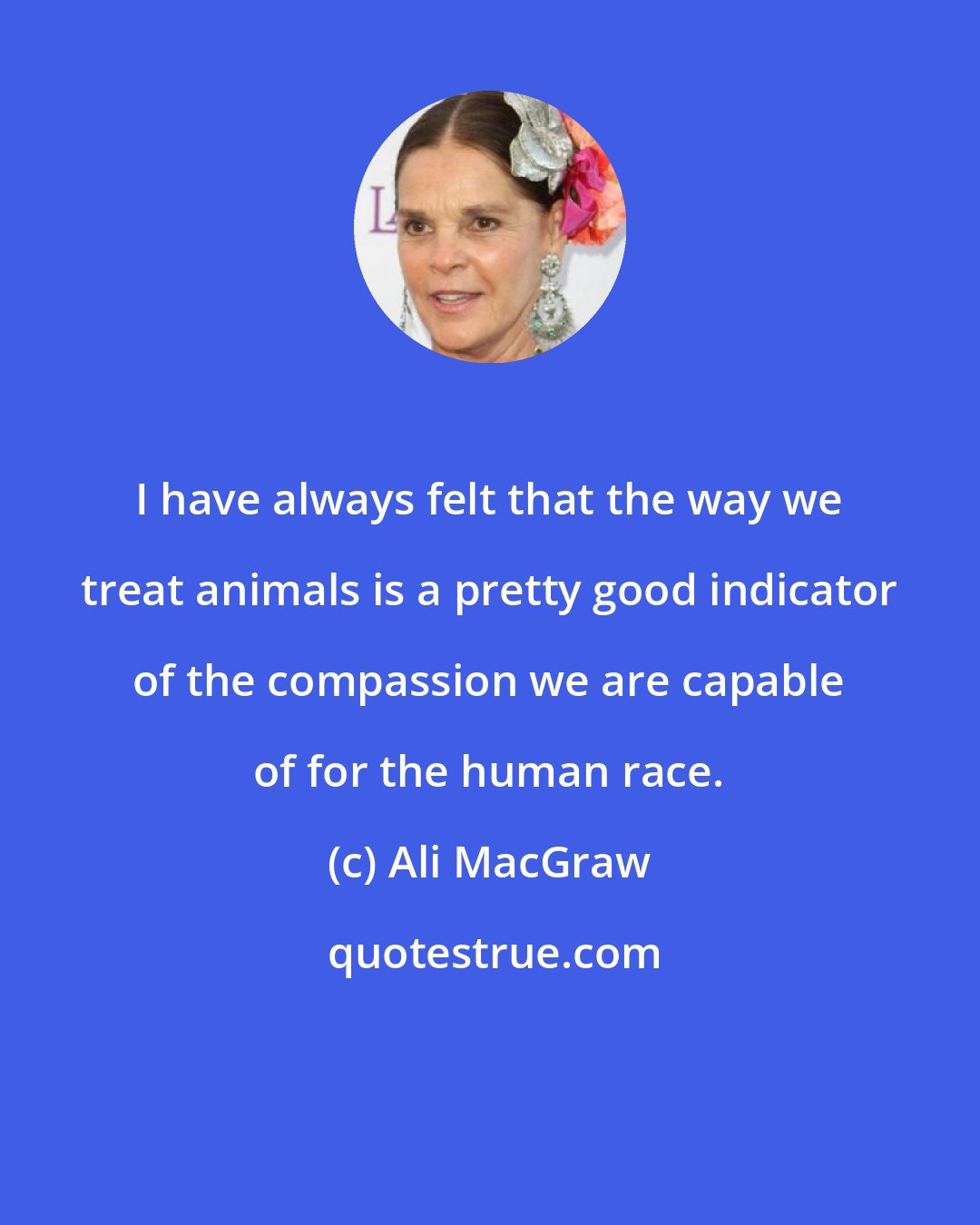 Ali MacGraw: I have always felt that the way we treat animals is a pretty good indicator of the compassion we are capable of for the human race.