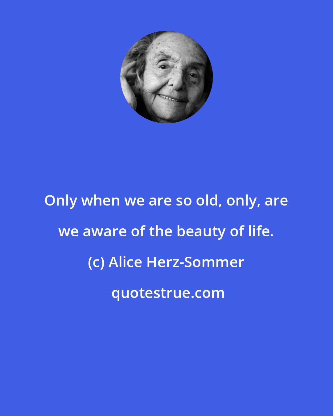 Alice Herz-Sommer: Only when we are so old, only, are we aware of the beauty of life.