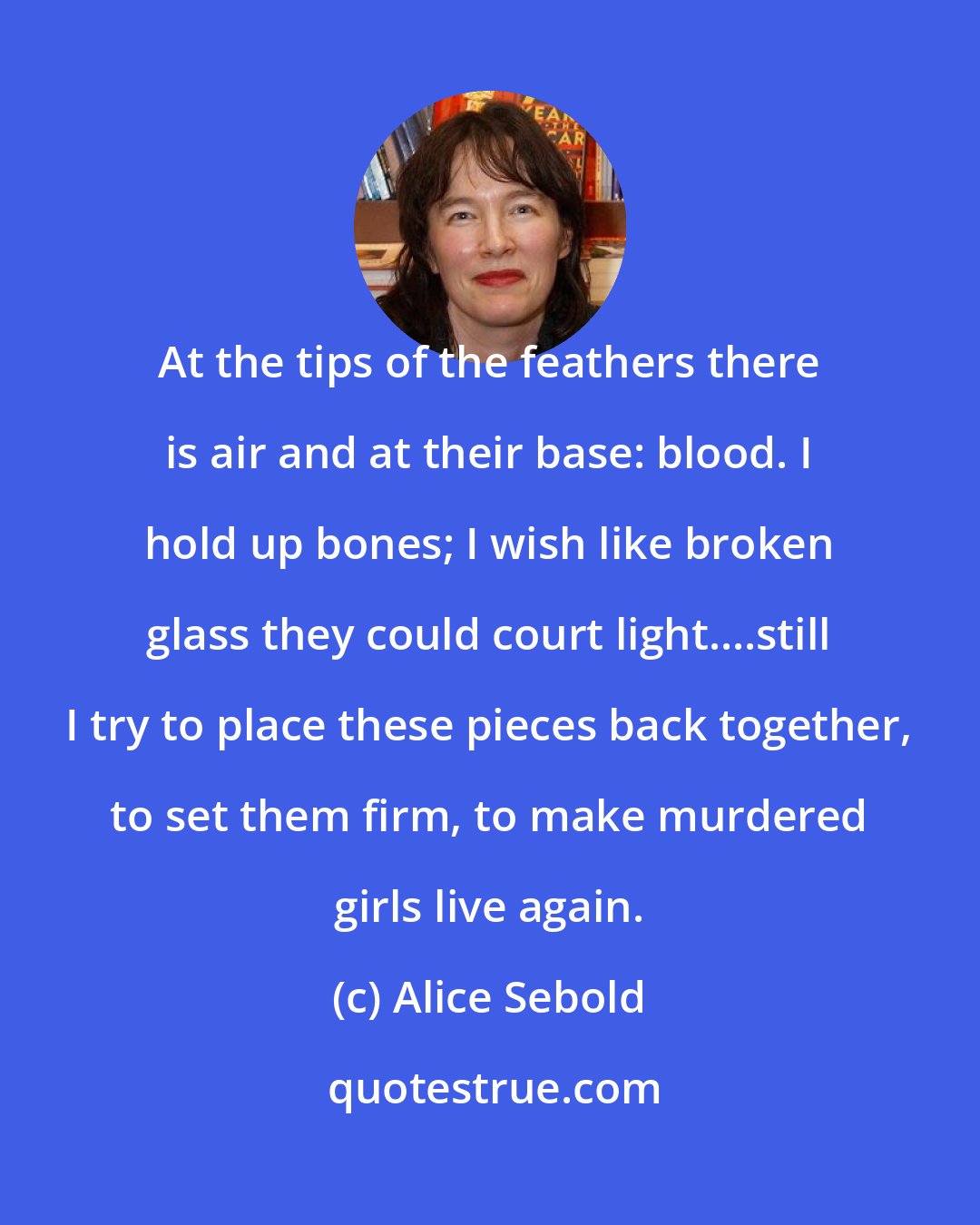 Alice Sebold: At the tips of the feathers there is air and at their base: blood. I hold up bones; I wish like broken glass they could court light....still I try to place these pieces back together, to set them firm, to make murdered girls live again.