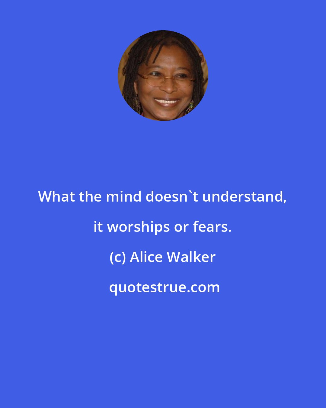 Alice Walker: What the mind doesn't understand, it worships or fears.