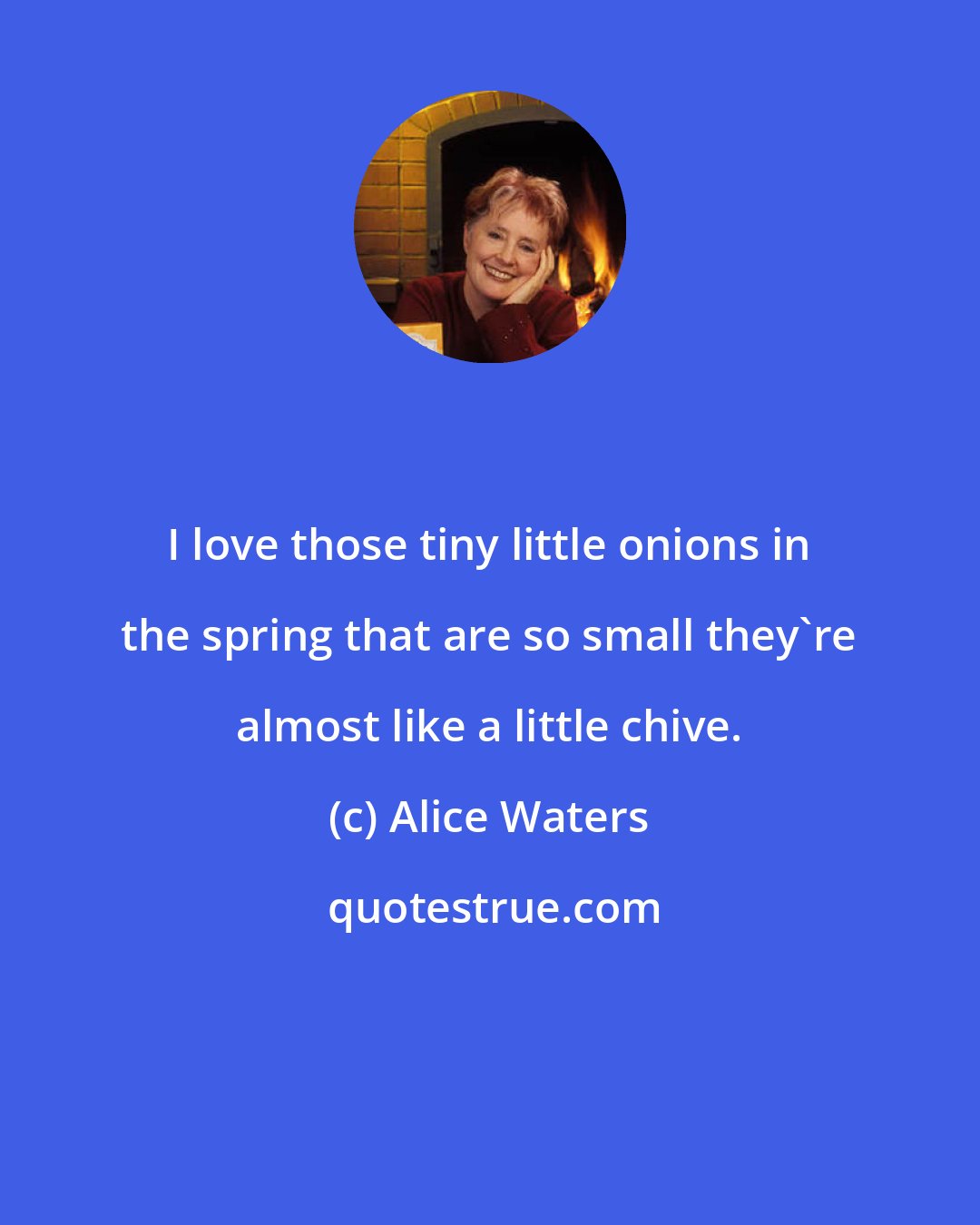 Alice Waters: I love those tiny little onions in the spring that are so small they're almost like a little chive.