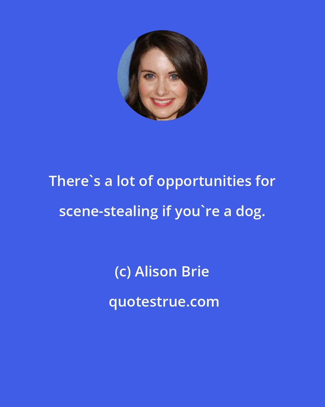 Alison Brie: There's a lot of opportunities for scene-stealing if you're a dog.