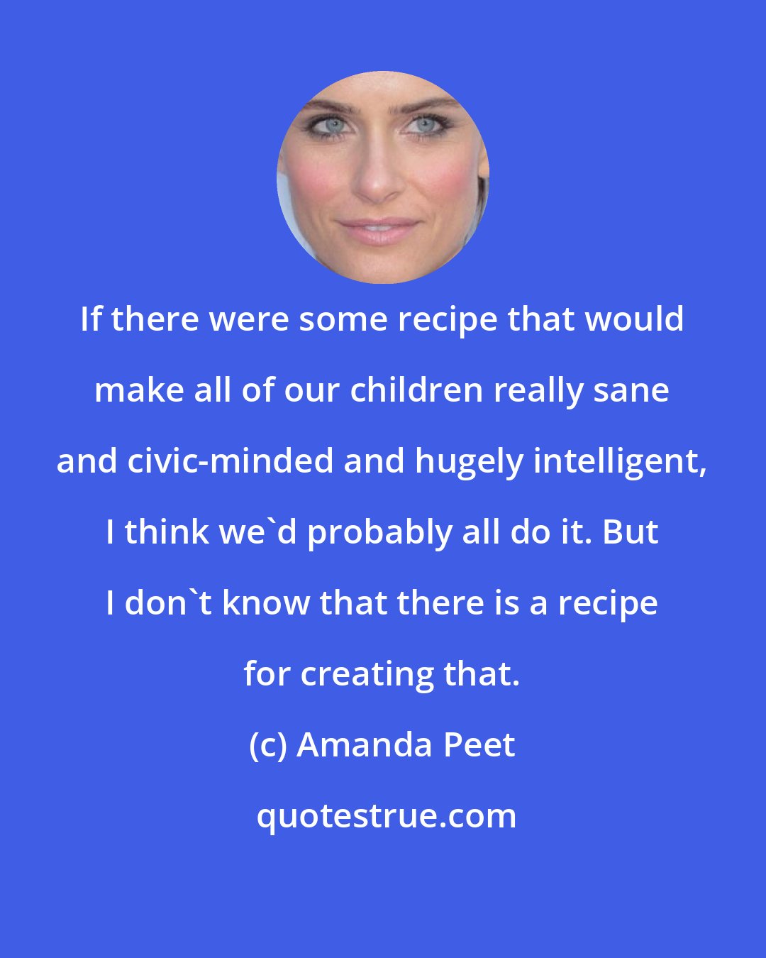 Amanda Peet: If there were some recipe that would make all of our children really sane and civic-minded and hugely intelligent, I think we'd probably all do it. But I don't know that there is a recipe for creating that.