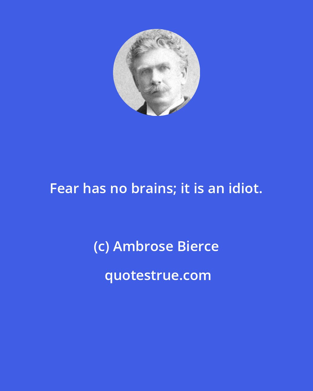 Ambrose Bierce: Fear has no brains; it is an idiot.