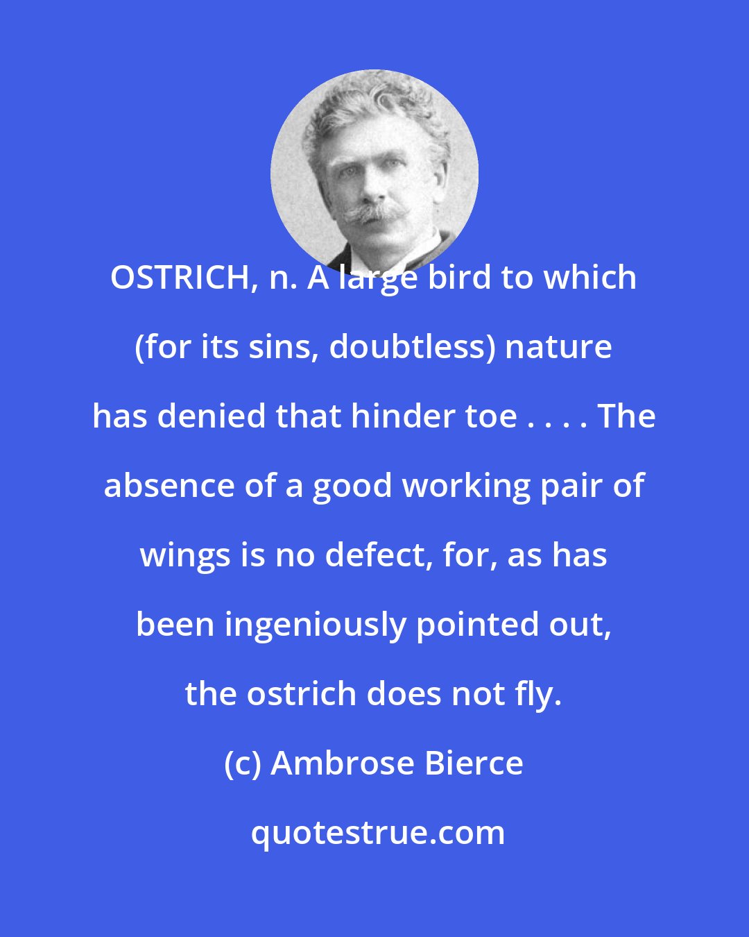 Ambrose Bierce: OSTRICH, n. A large bird to which (for its sins, doubtless) nature has denied that hinder toe . . . . The absence of a good working pair of wings is no defect, for, as has been ingeniously pointed out, the ostrich does not fly.