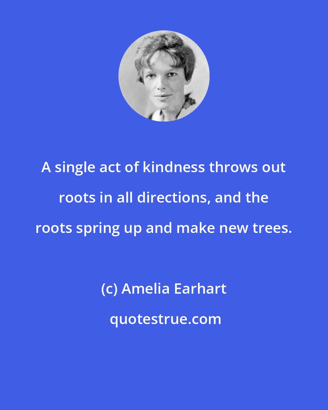 Amelia Earhart: A single act of kindness throws out roots in all directions, and the roots spring up and make new trees.